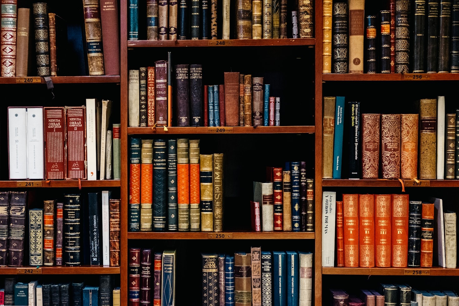 5 livros indispensáveis para estudantes de Direito